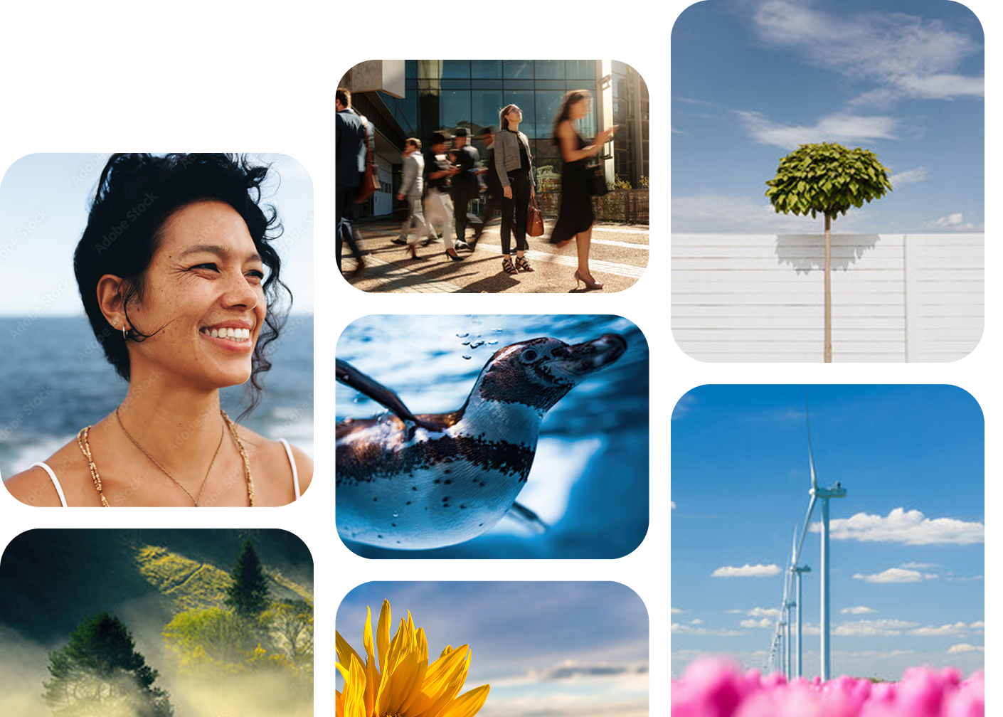 Image collage of people, a tree, a penguin, a wine turbine